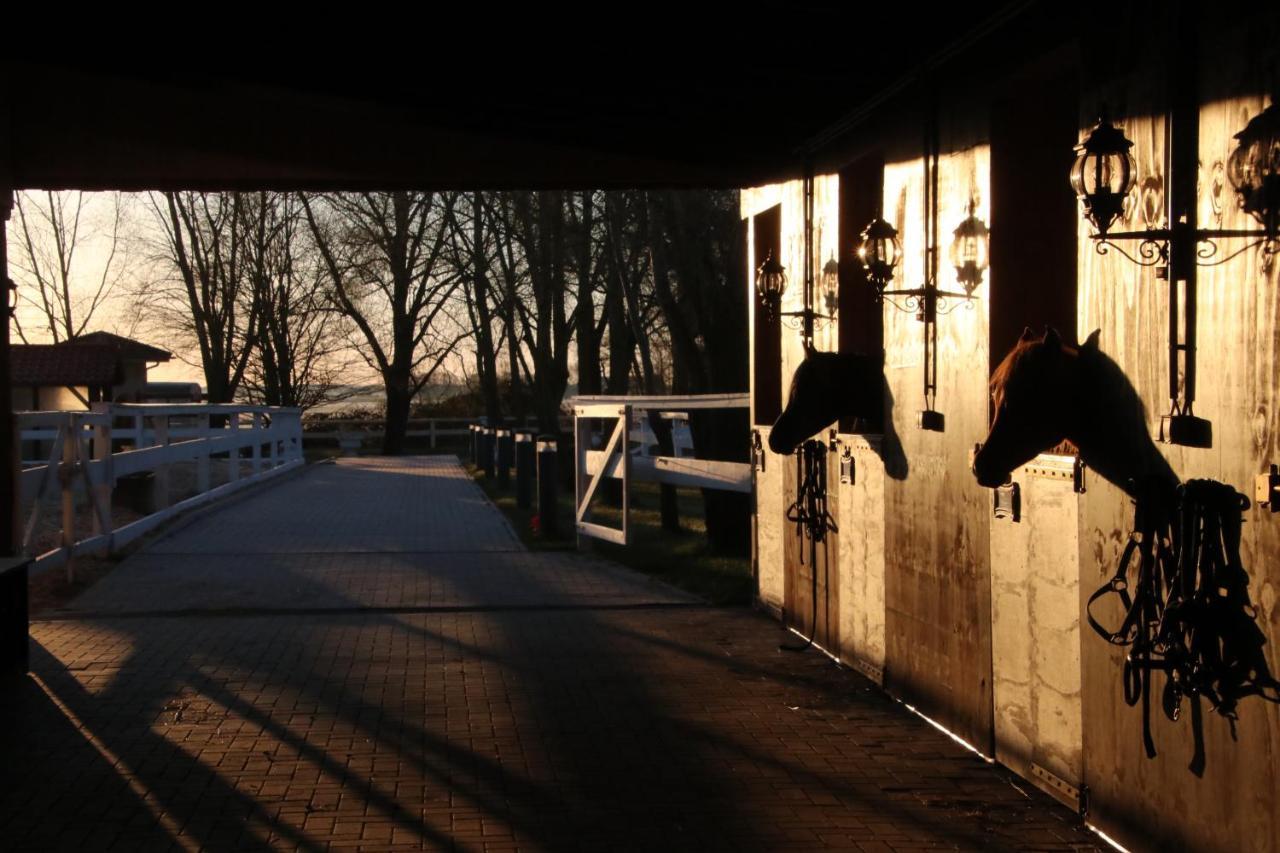 Luxus Resort Ruegen Residenz Kubitzer Bodden Rambin 외부 사진