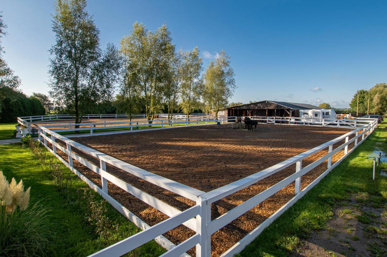 Luxus Resort Ruegen Residenz Kubitzer Bodden Rambin 외부 사진